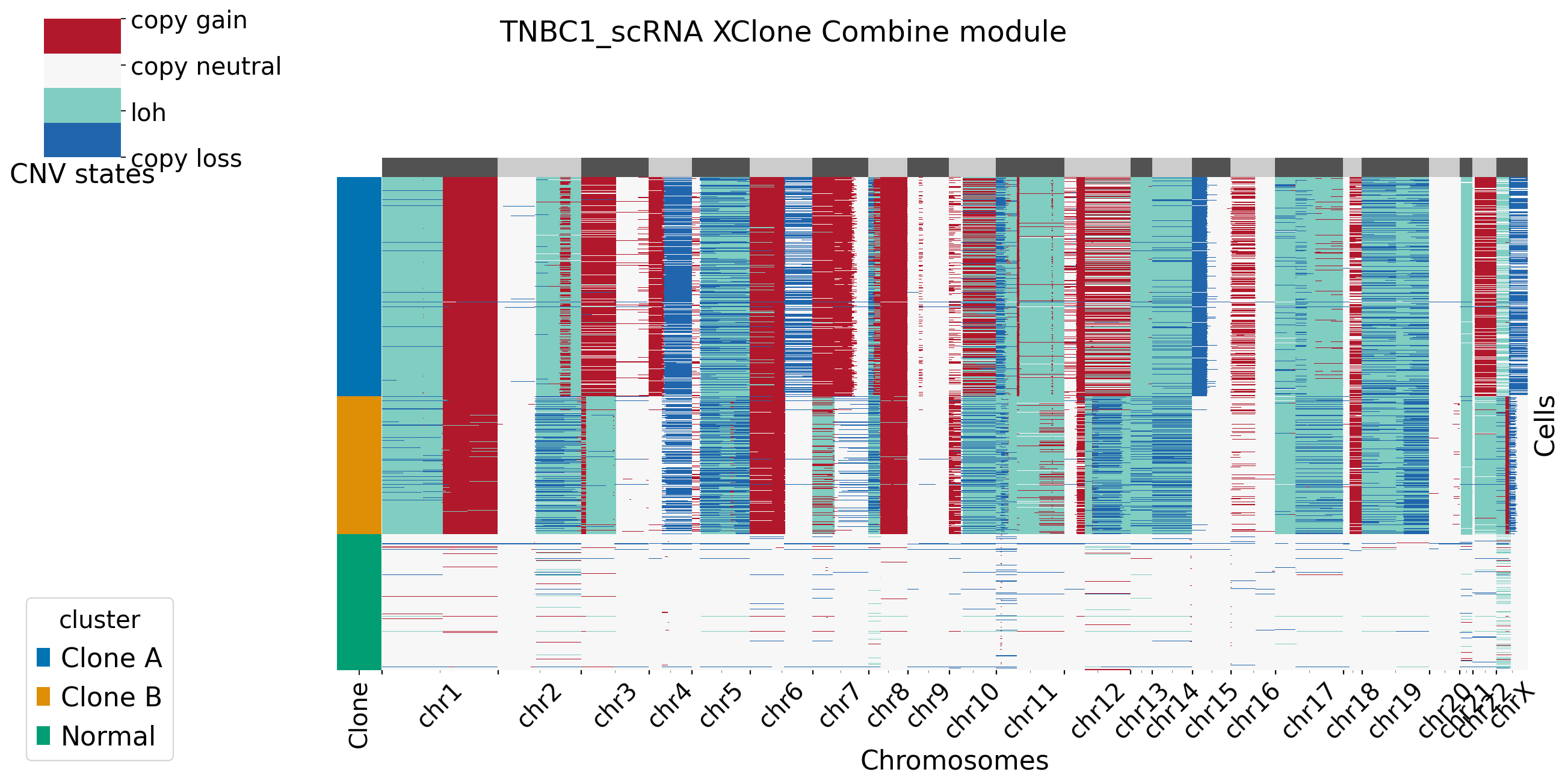 _images/TNBC1_XClone_tutorials_28_2.png