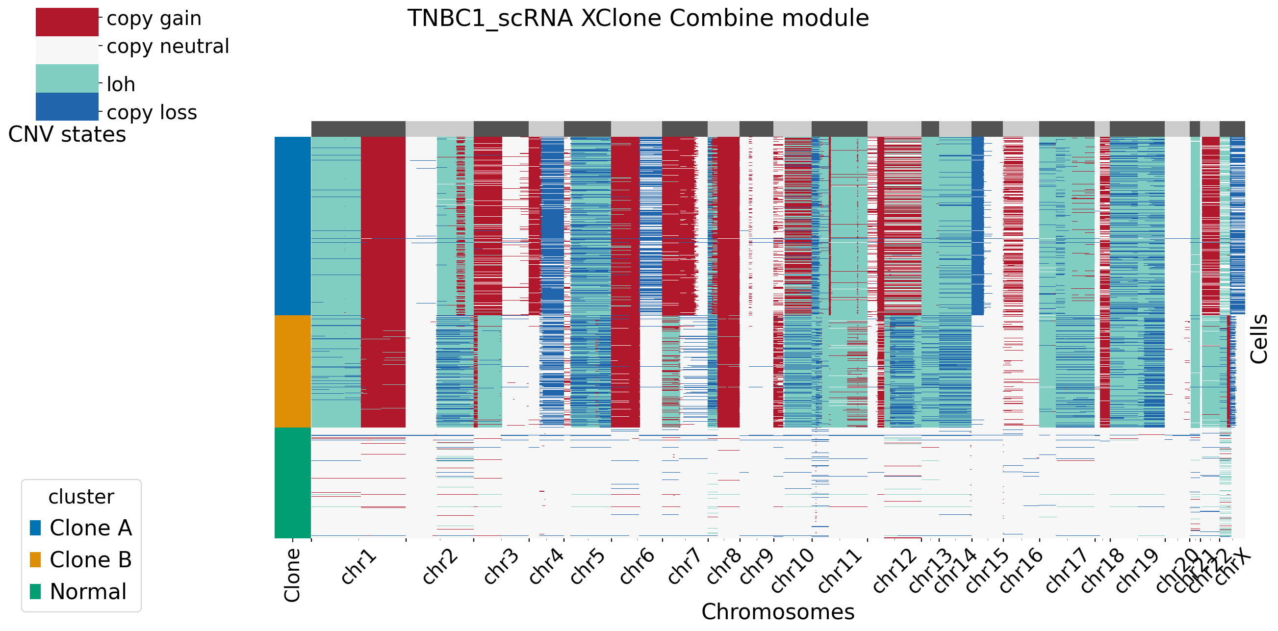 _images/TNBC1_XClone_tutorials_28_3.png